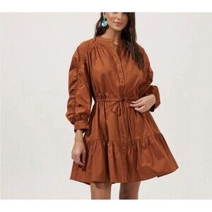 Astr The Label Rust Ruched Long Sleeve Tiered Cottage Core Mini Dress Size Med